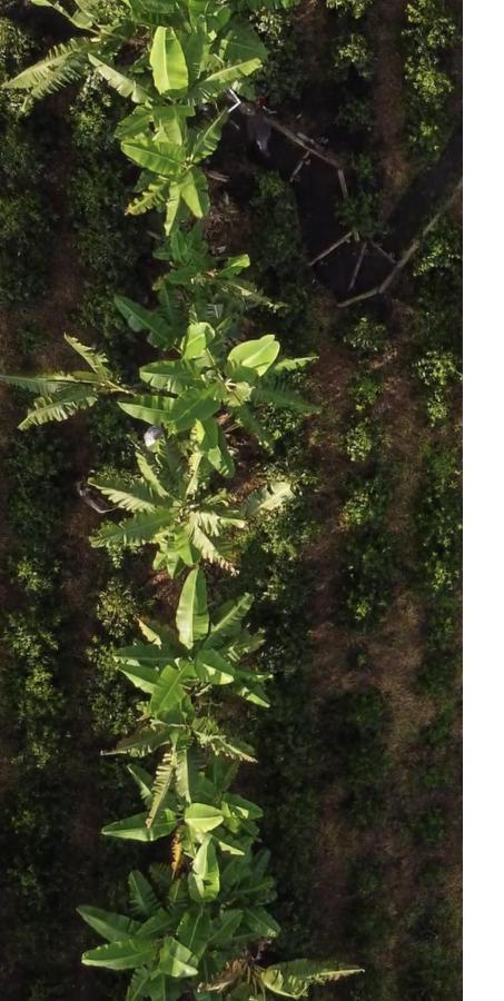 Ecohotel Entrebosques Salento Zewnętrze zdjęcie