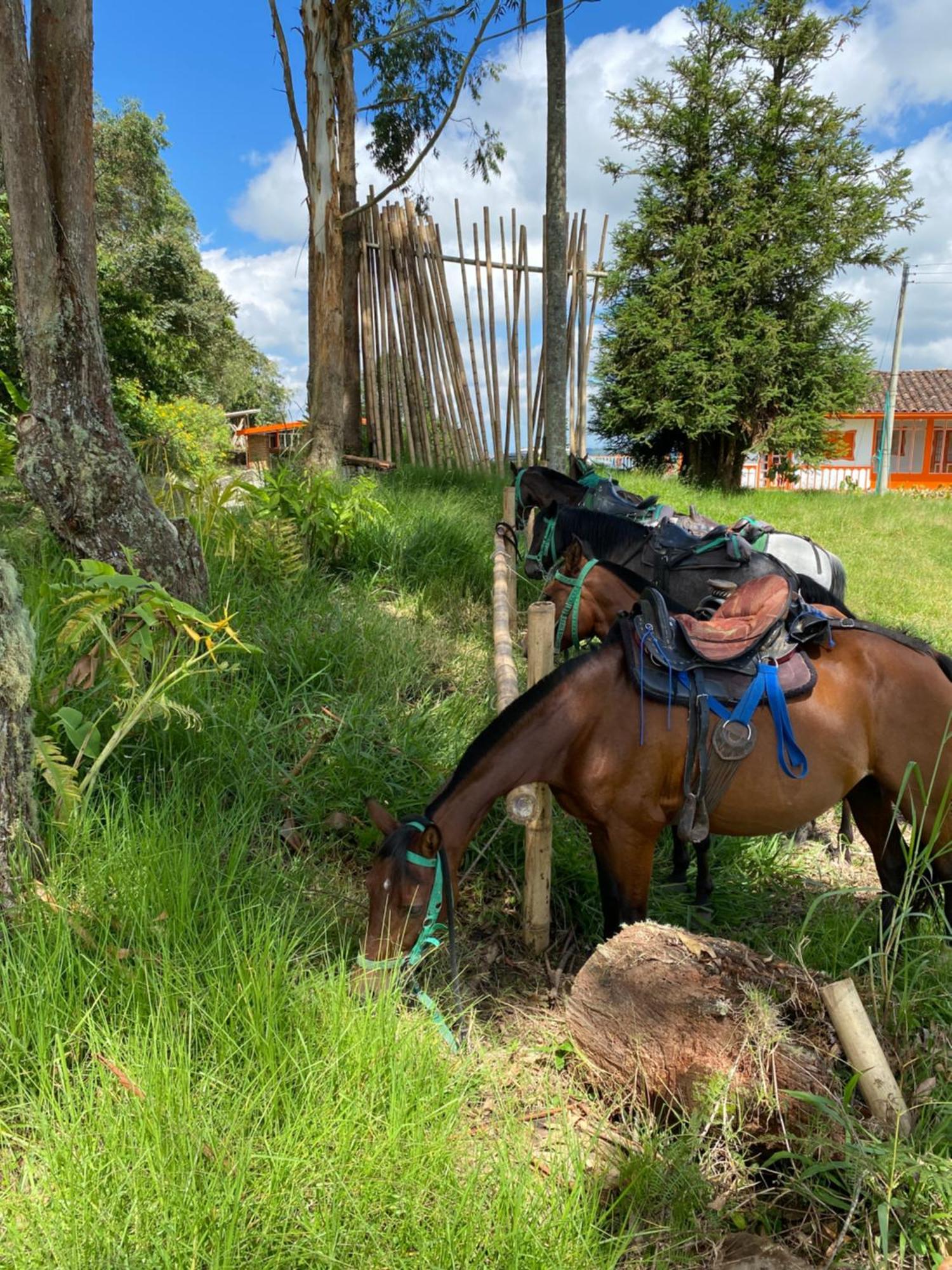 Ecohotel Entrebosques Salento Zewnętrze zdjęcie